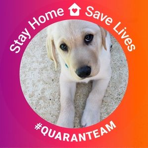 Meet your Posher, Cathy